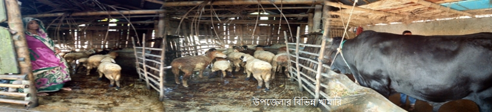 উপজেলার খামার