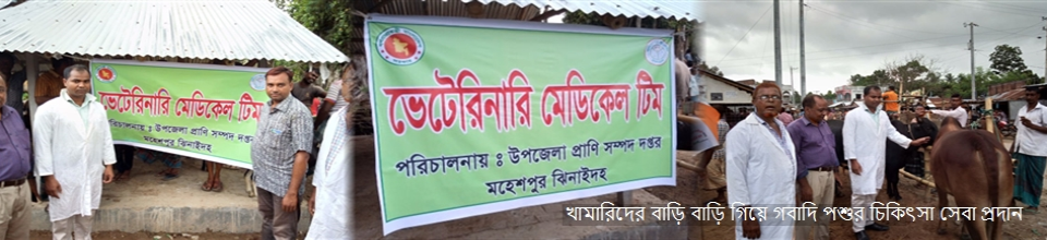 মোবাইল চিকিৎসা সেবা