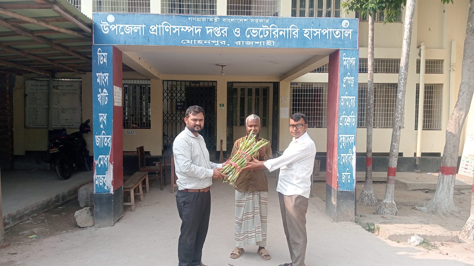 ঘাসের কাটিং বিতরন