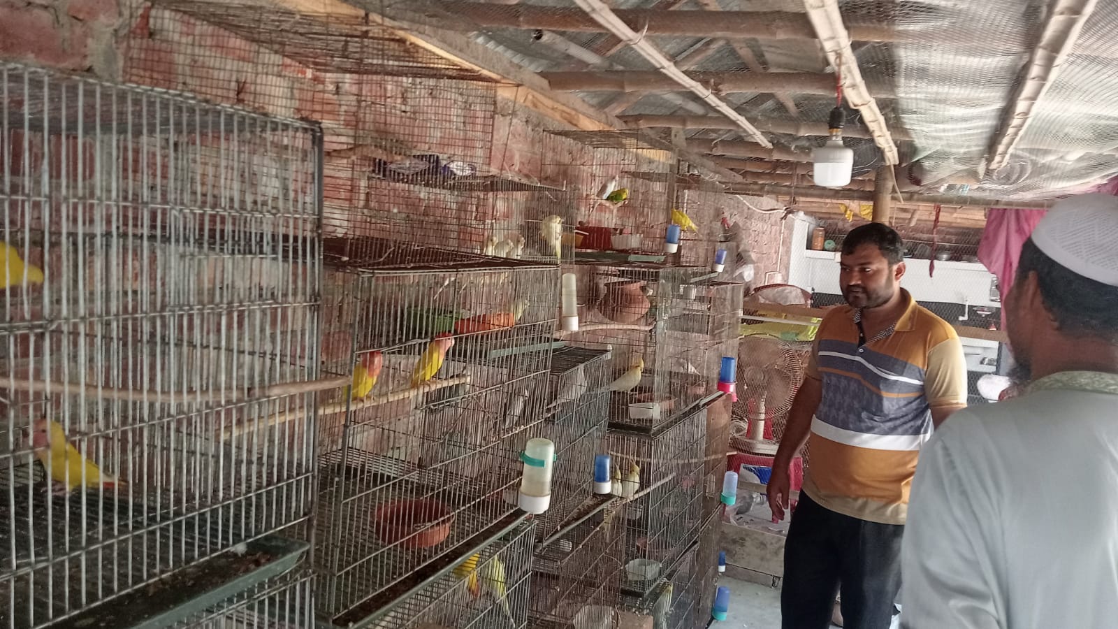 সৌখিন পাখির খামার পরিদর্শন