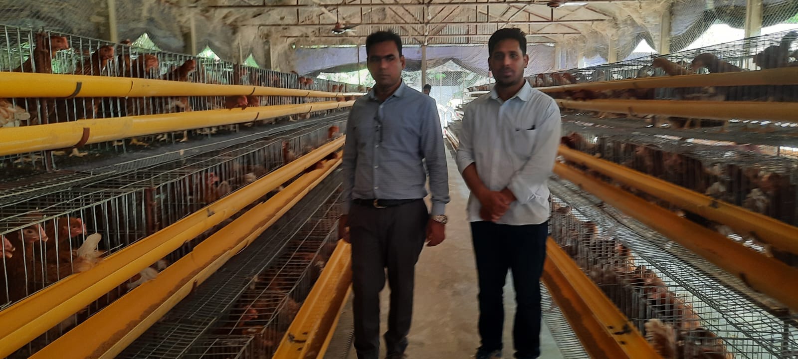 খামার পরিদর্শন