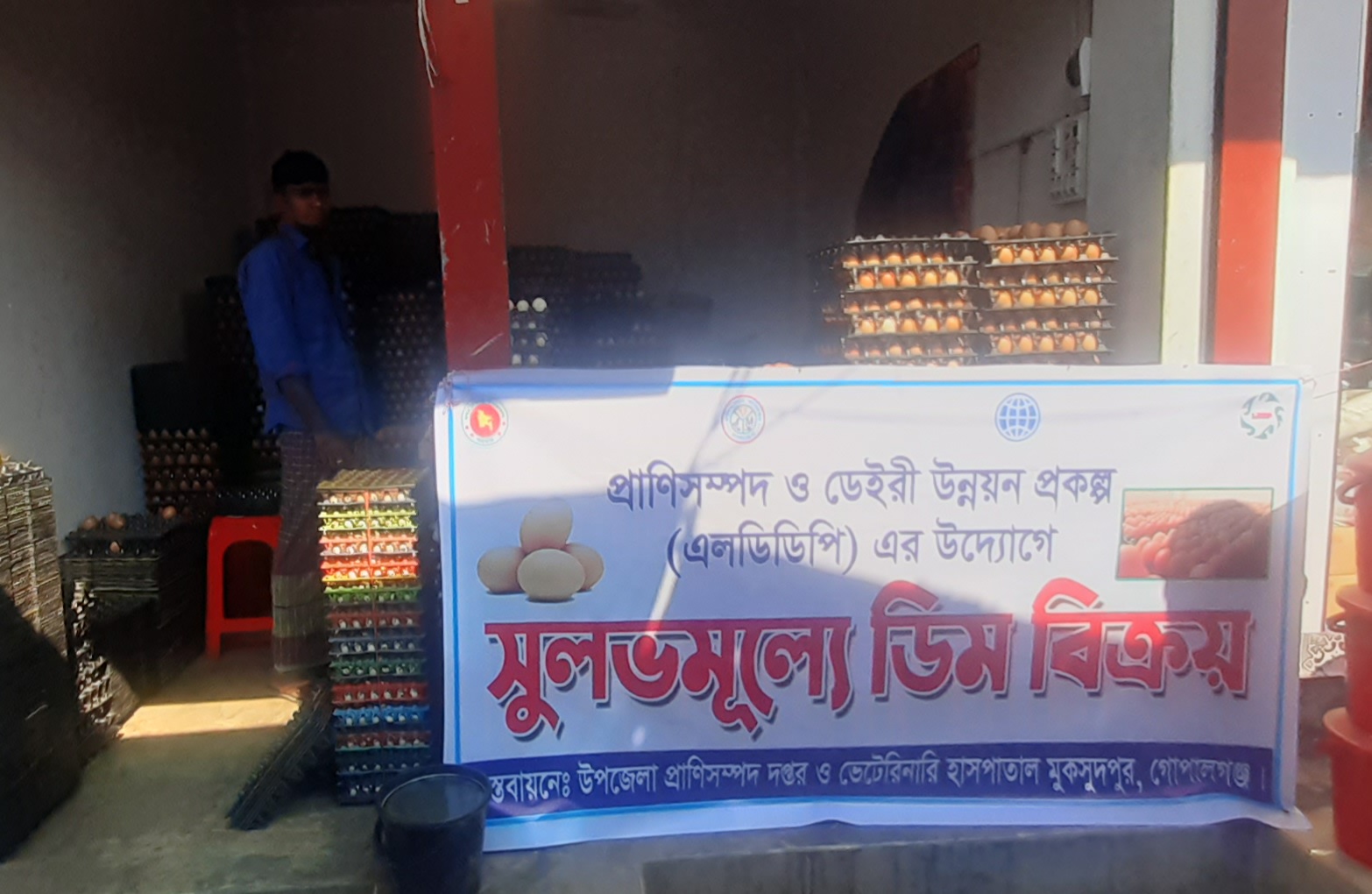 সুলভ মূল্যে ডিম বিক্রয় কর্মসূচি