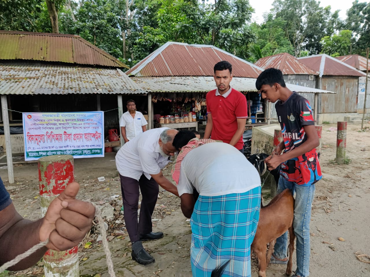 বিনামূল্যে পিপিআর ভ্যাকসিন ক্যাম্পেইন
