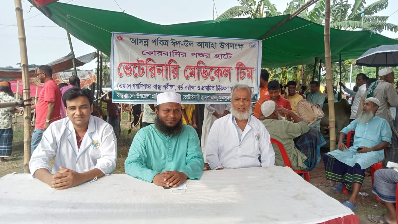 কোরবানির পশুর হাটে ভেটেরিনারি মেডিকেল টিম