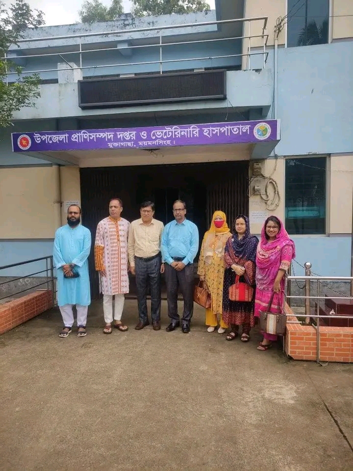 ব্যানার