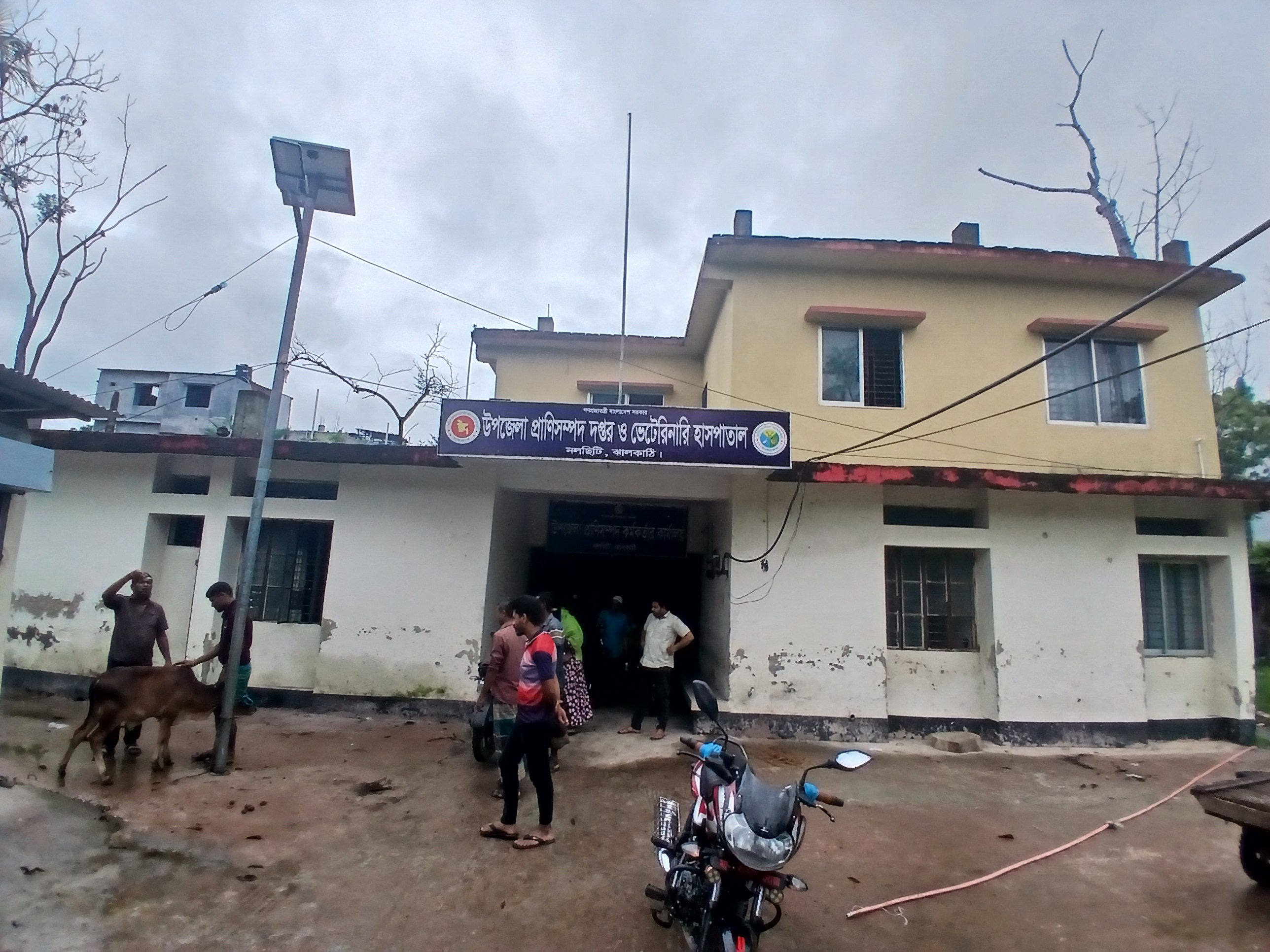 উপজেলা প্রাণিসম্পদ দপ্তর ও ভেটেরিনারি হাসপাতাল, নলছিটি, ঝালকাঠি।