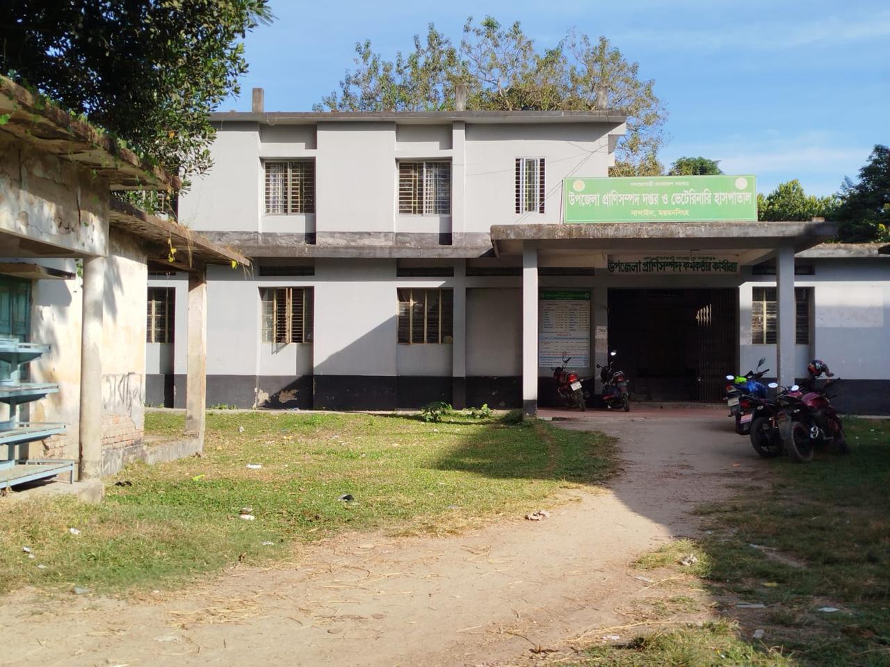 অফিসের ছবি