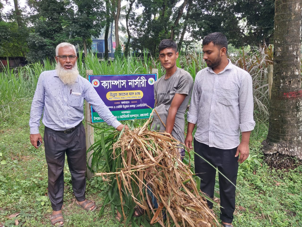 distribution of grass cutting