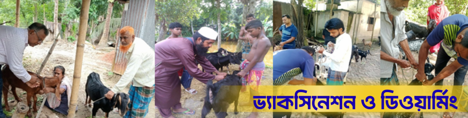 ভ্যাকসিনেশন ও ডিওয়ার্মিং
