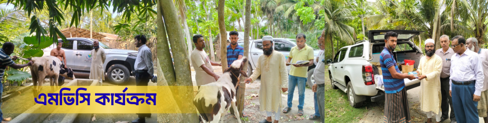 এমভিসি কার্যক্রম