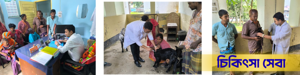 চিকিৎসা সেবা