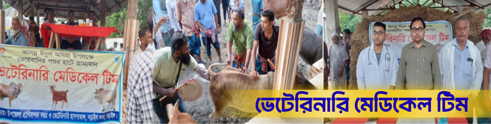 ভেটেরিনারি মেডিকেল টিম