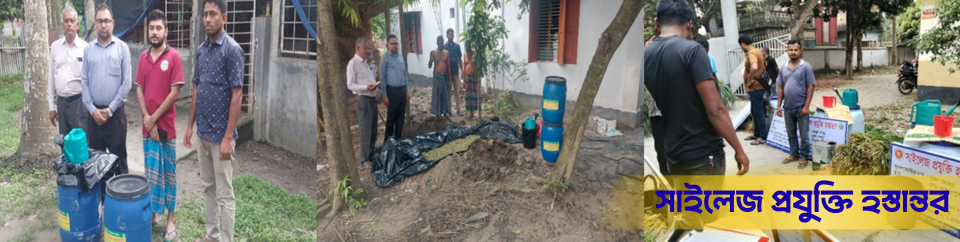 সাইলেজ প্রযুক্তি হস্তান্তর