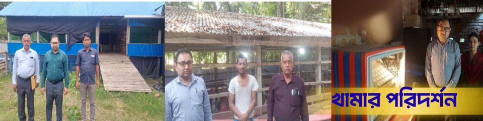 খামার পরিদর্শন