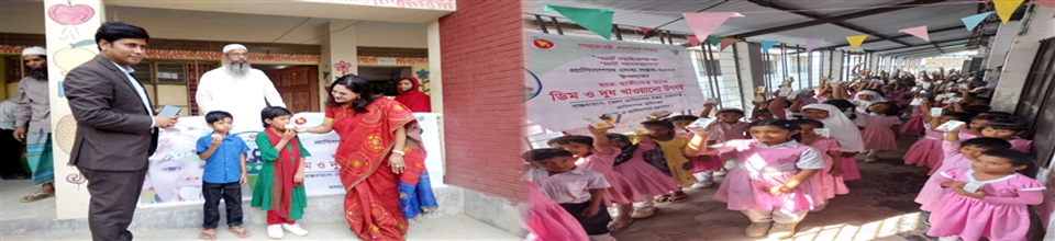 ডিম ও দুধ খাওয়ানো কর্মসূচী