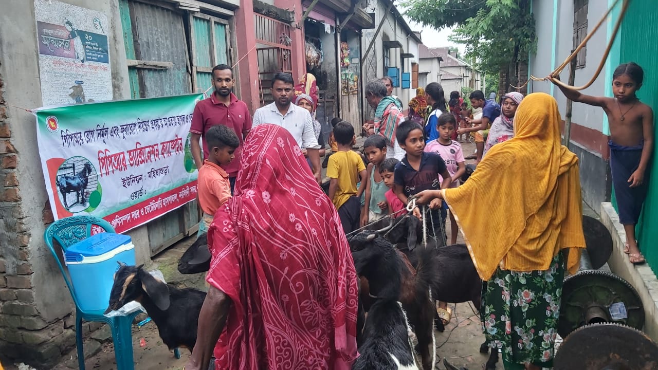 ভেক্সিনেশন