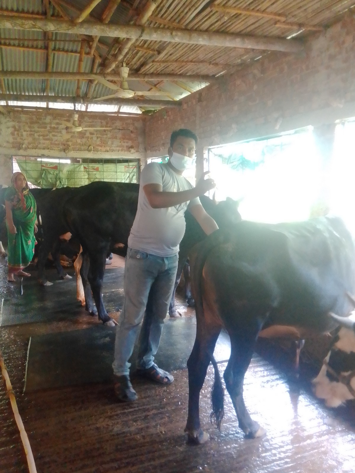 vaccinations program