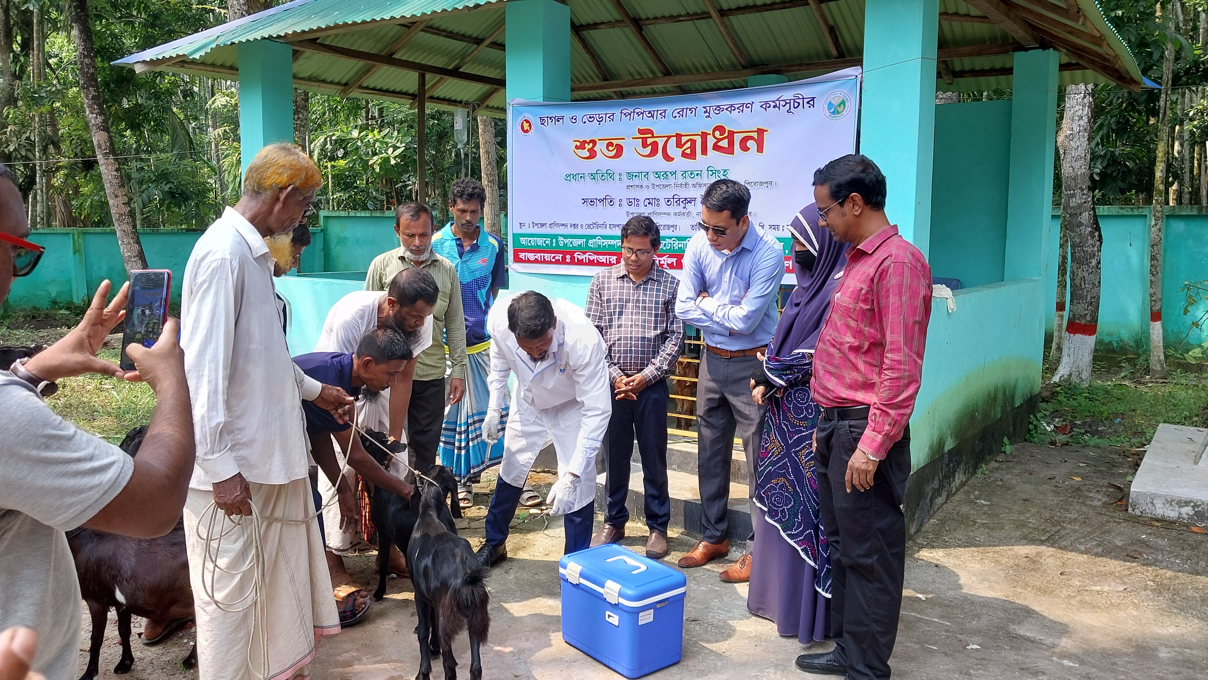 পিপিআর রোগ নির্মূলে ছাগল-ভেড়াকে পিপিআর রোগের টিকা প্রদান কর্মসূচীর উদ্ভোধন