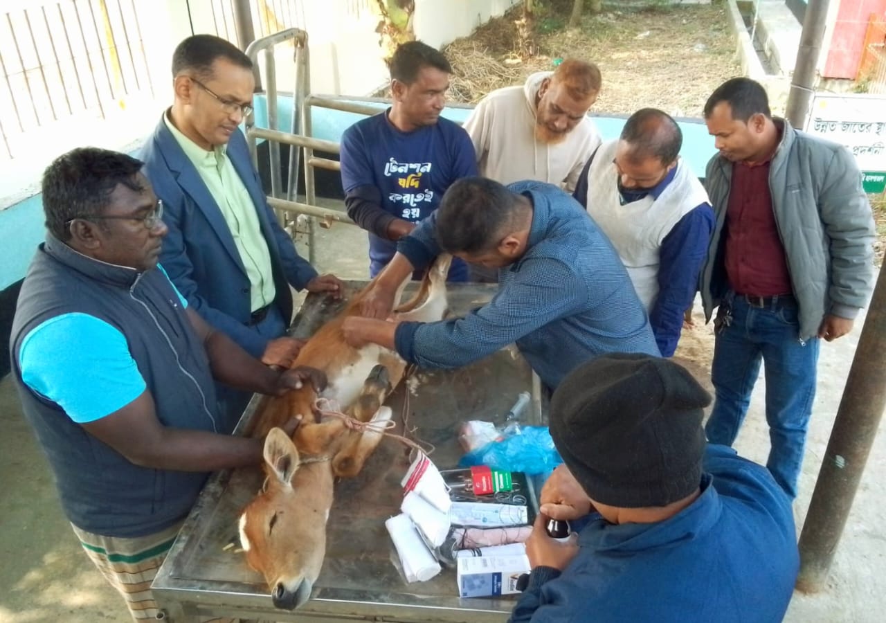 চিকিৎসা