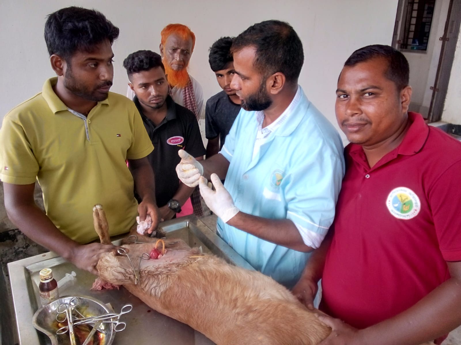 উপজেলা প্রাণিসম্পদ অফিস ও ভেটেরিনারি হাসপাতাল, পেকুয়া, কক্সবাজার