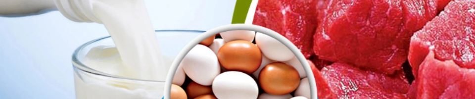 দুধ ডিম মাংস