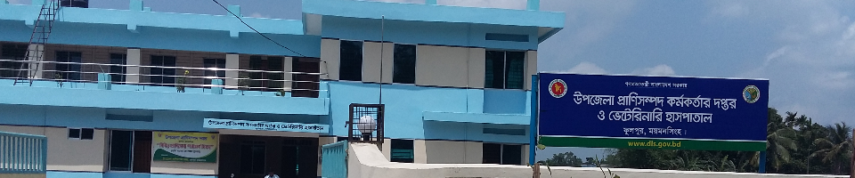 চিত্র 1