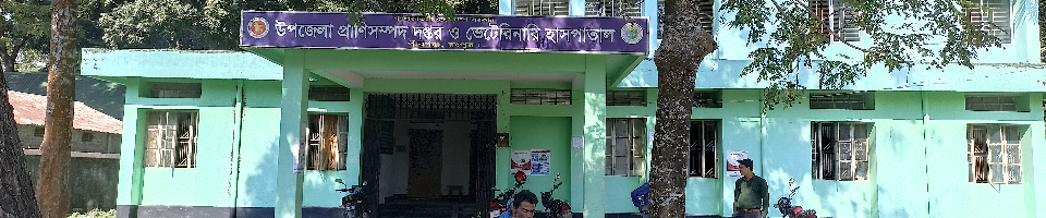 অফিস