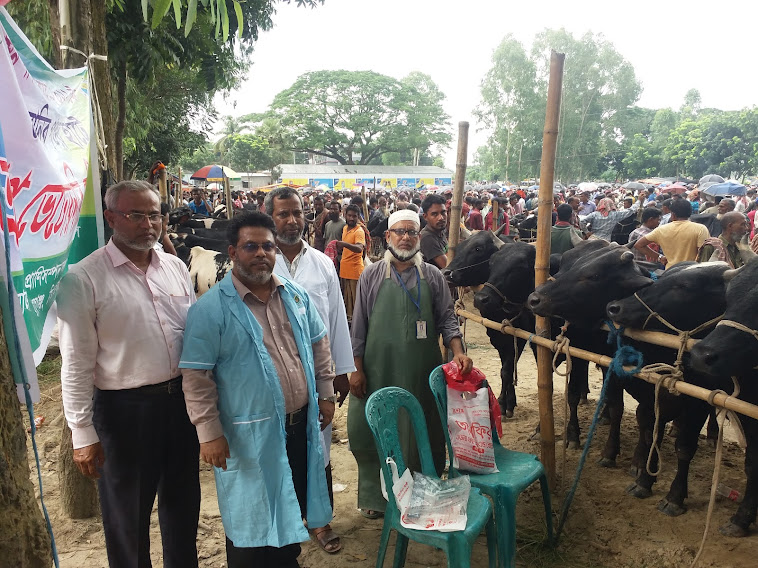 প্রাণিসম্পদ সম্পর্কিত ফটো