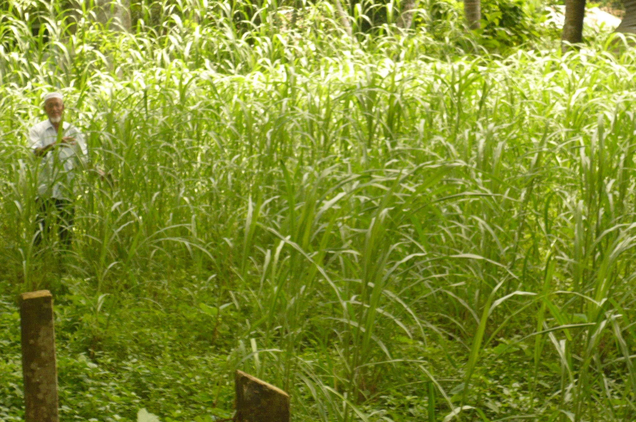 অফিসের বিভিন্ন সেবামূলক ছবি