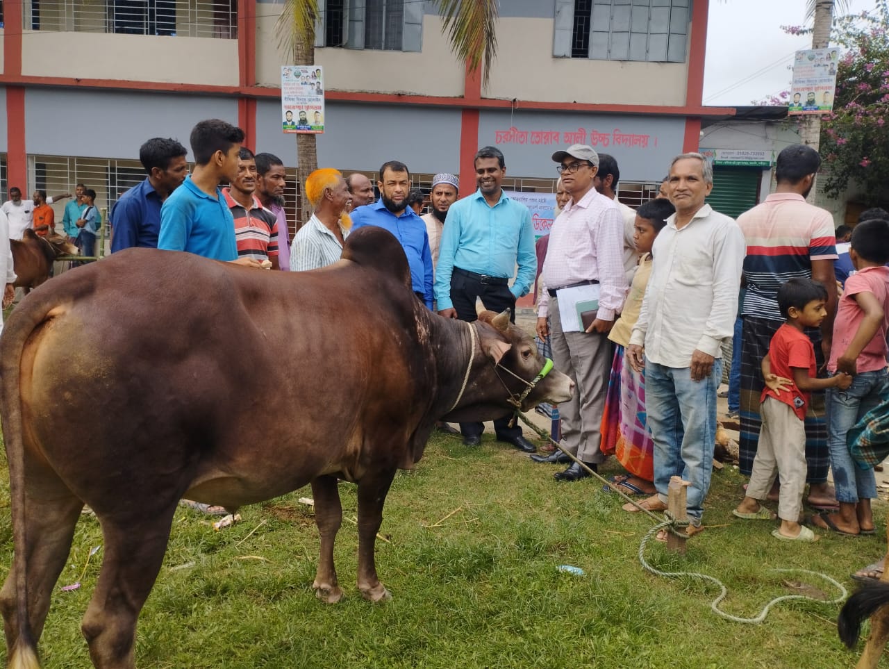 বিভাগীয় পরিচালক মহোদয়, জেলা প্রাণিসম্পদ কর্মকর্তা মহোদয়, উপজেলা প্রাণিসম্পদ কর্মকর্তা মহোদয় ও ভেটেরিনারি সার্জন স্যার পবিত্র ঈদ উল আযহা 2025 উপলক্ষ্যে গরু বাজার পরিদর্শন