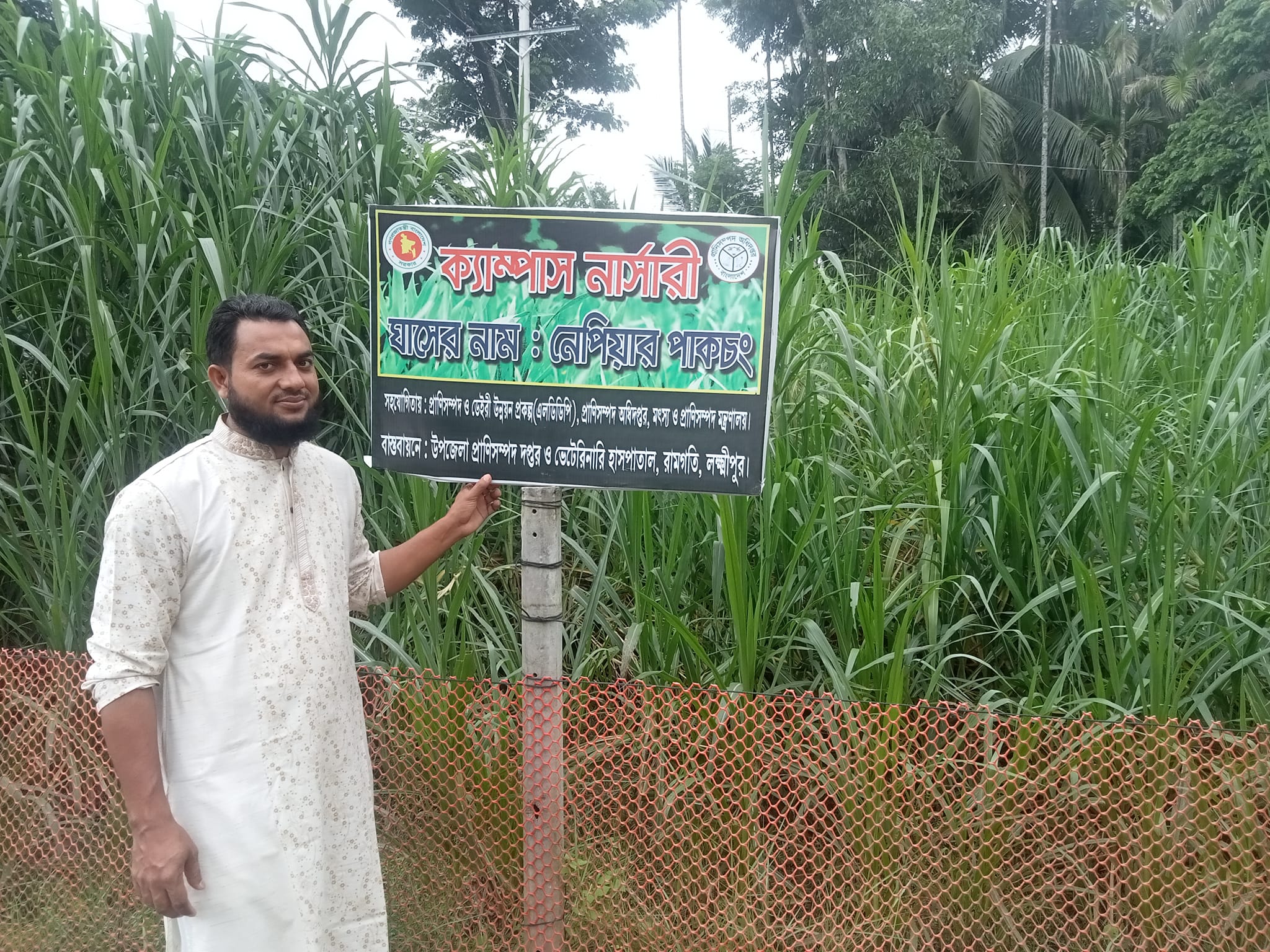 উচ্চ ফলনশীল ঘাষ উৎপাদন