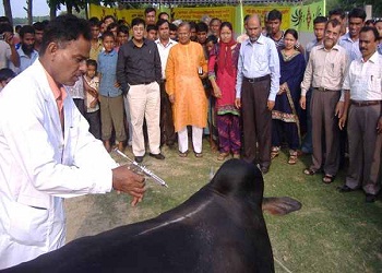 টিকা প্রদান