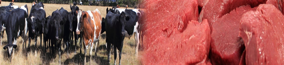 গবাদিপশু ও মাংস