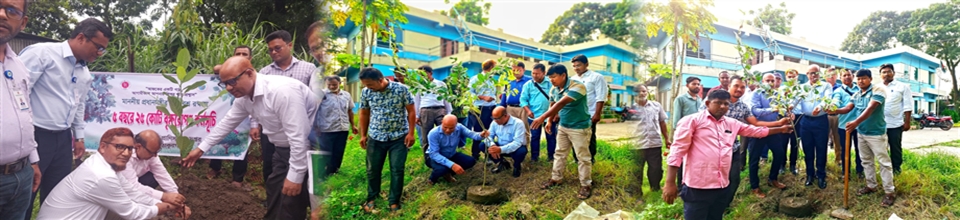 বৃক্ষরোপণ