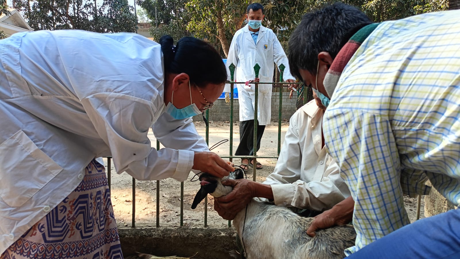 ঔষধ প্রয়োগ