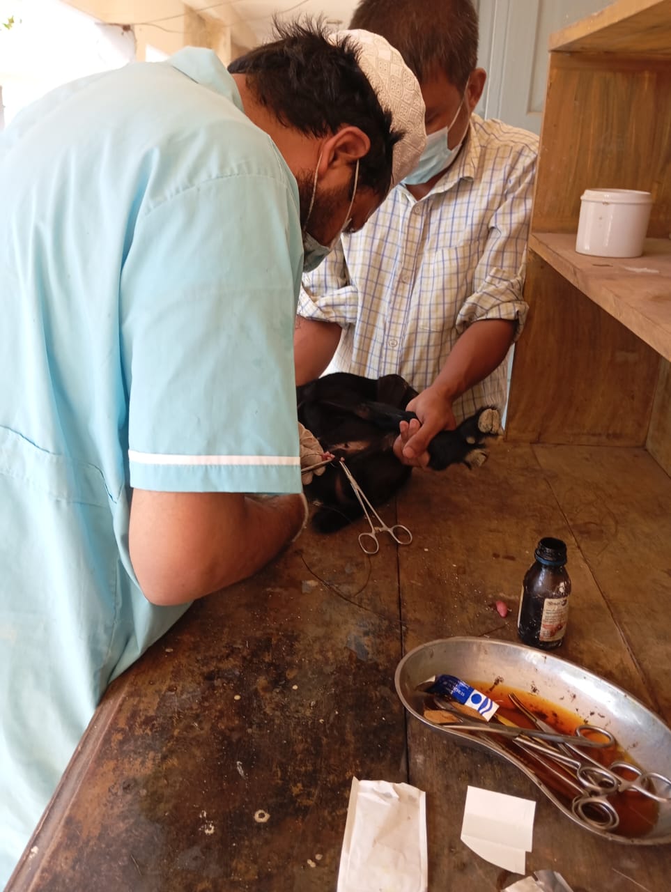 ছাগলের সফল অপারেশন-১