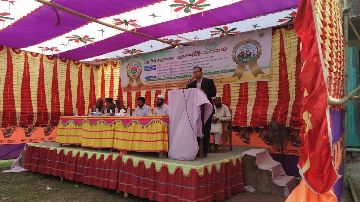 ফটো গ্যালারী