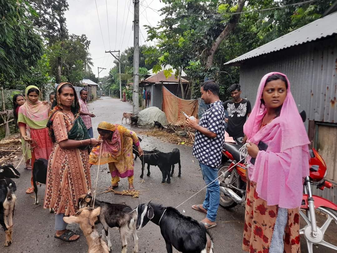 পিপিআর ভ্যাকসিনেশন কার্যক্রম