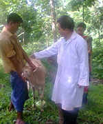 রোগ নিয়ন্ত্রণ