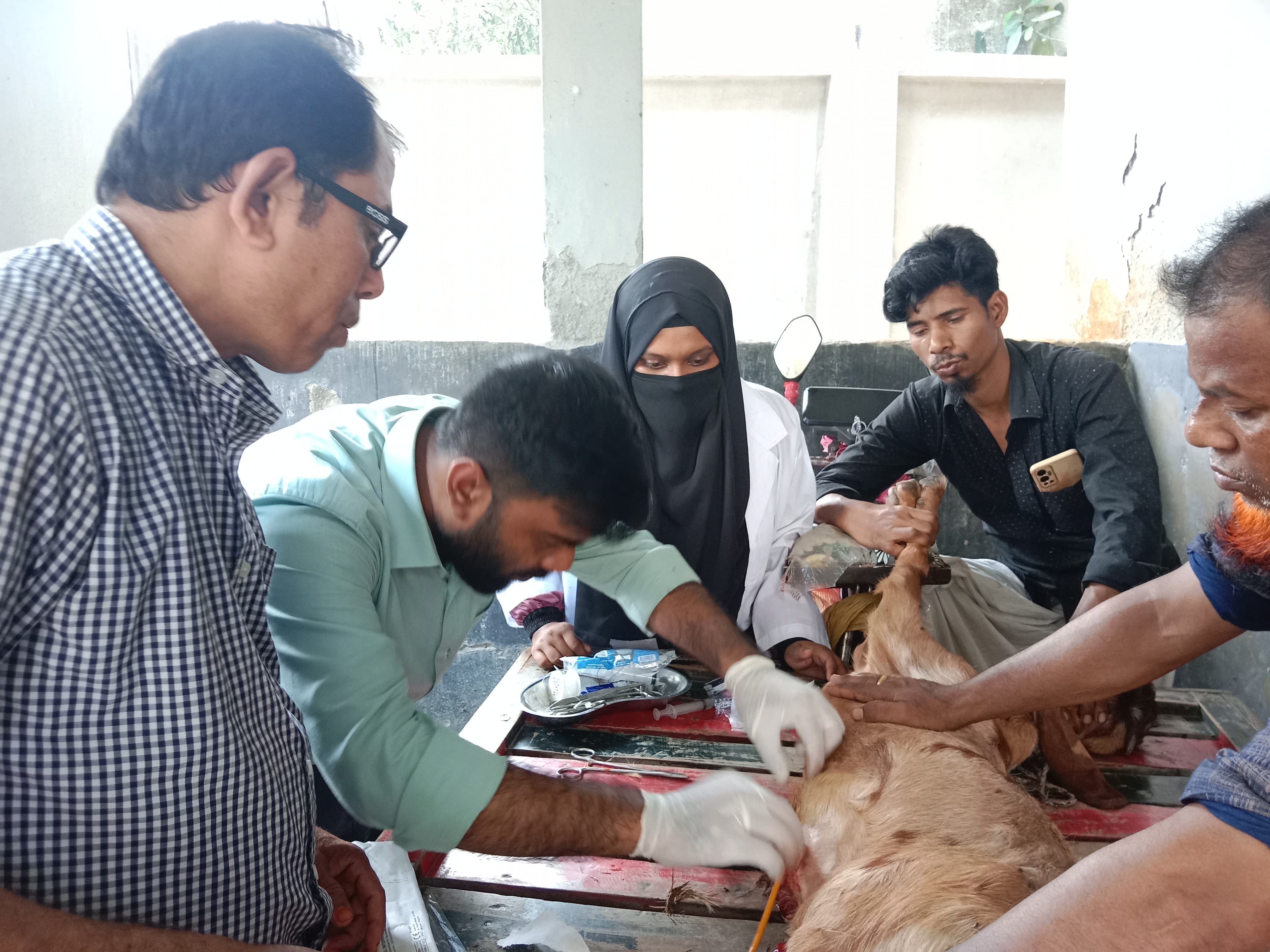 টিউব সিস্টোটমি