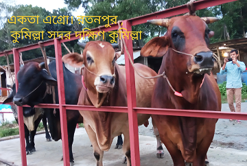 একতা গরুর খামার, সদর দক্ষিণ