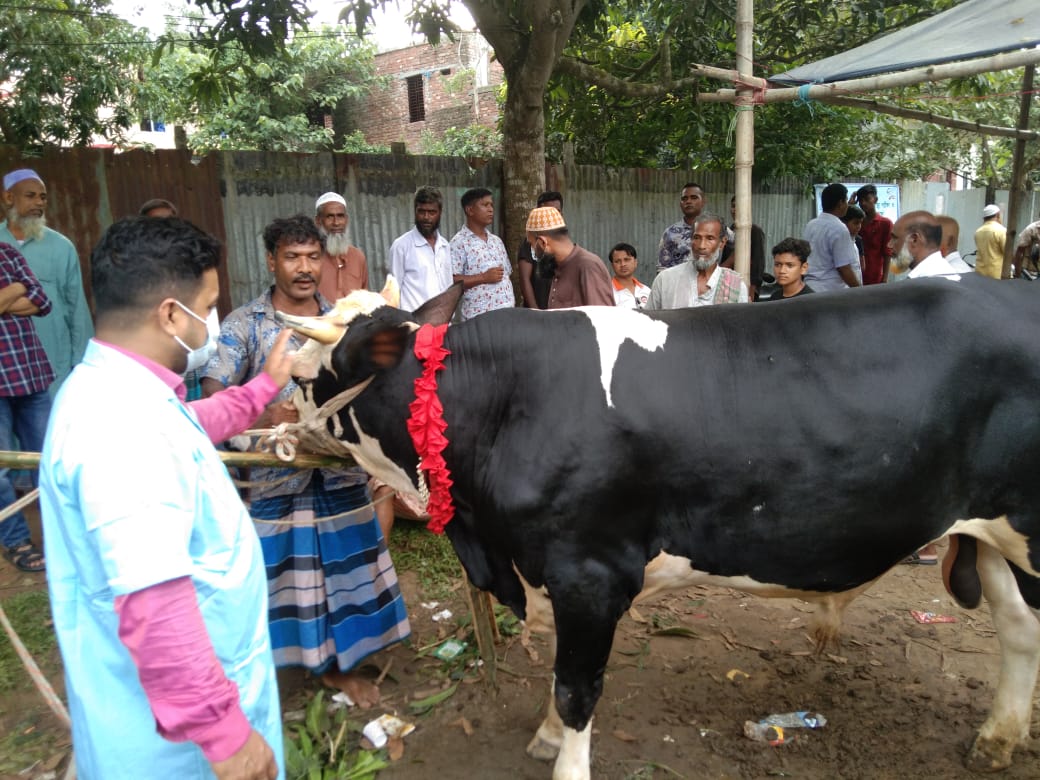 পরিদর্শন