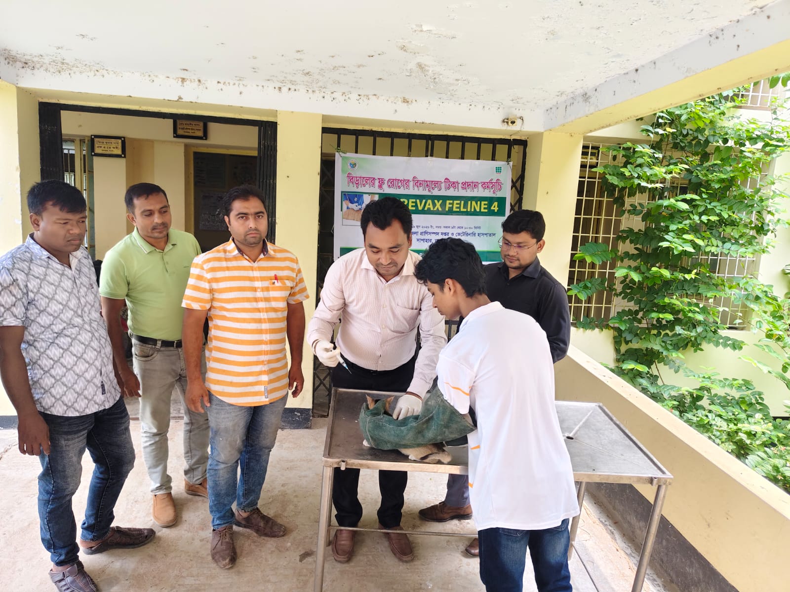 চিকিৎসা ও পরামর্শ