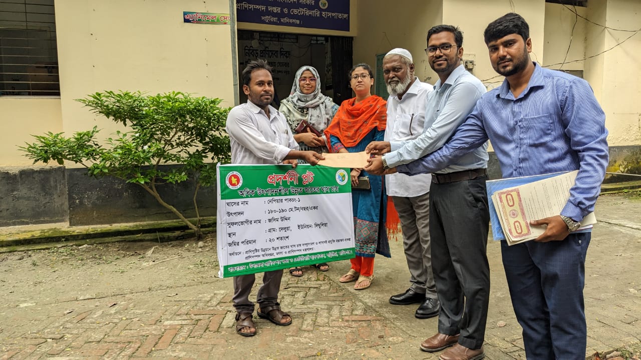 প্রাণি পুষ্টির উন্নয়নে উন্নত জাতের ঘাসচাষ ও লাগসই প্রযুক্তি হস্তান্তর প্রকল্পের আওতায় খামারিদের মাঝ বিশেষ প্রণোদনা বিতরণ