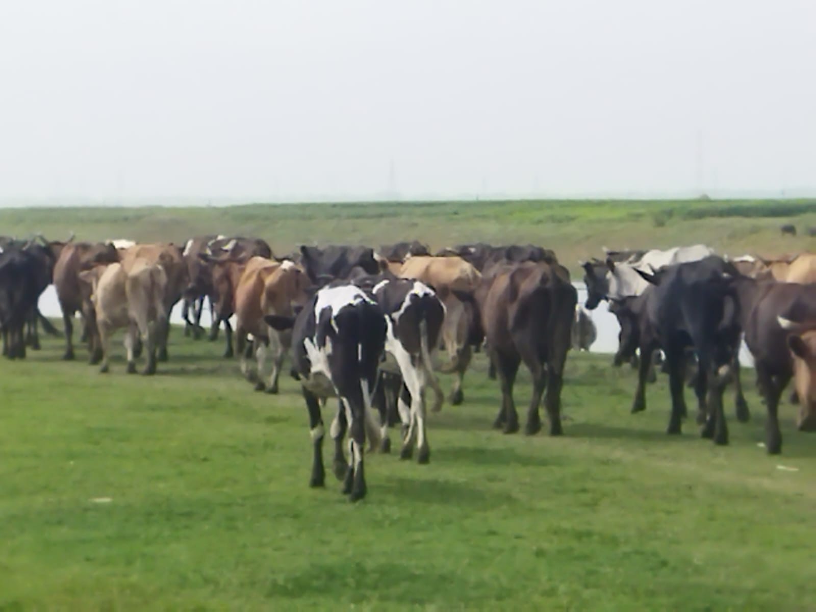 ব্যানার ৩