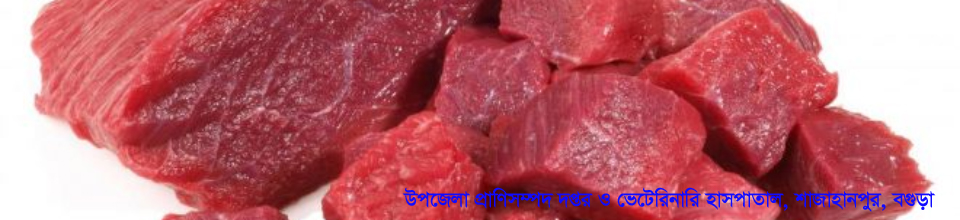 ব্যানার