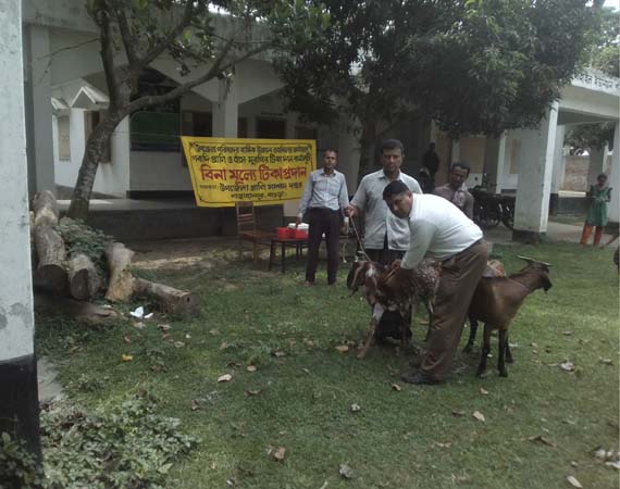 ই-সেবা কেন্দ্র, জেলা প্রশাসন