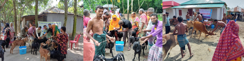 ভেক্সিনেশন ক্যাম্পেইন