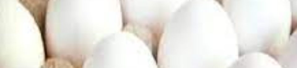 সতেজ ডিম