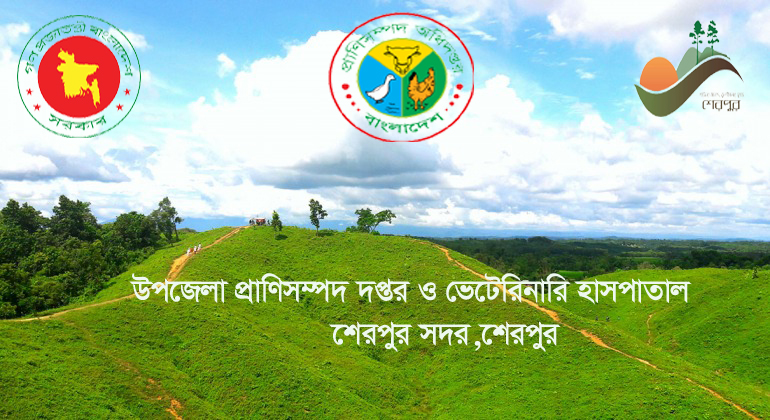 ব্যানার ১০